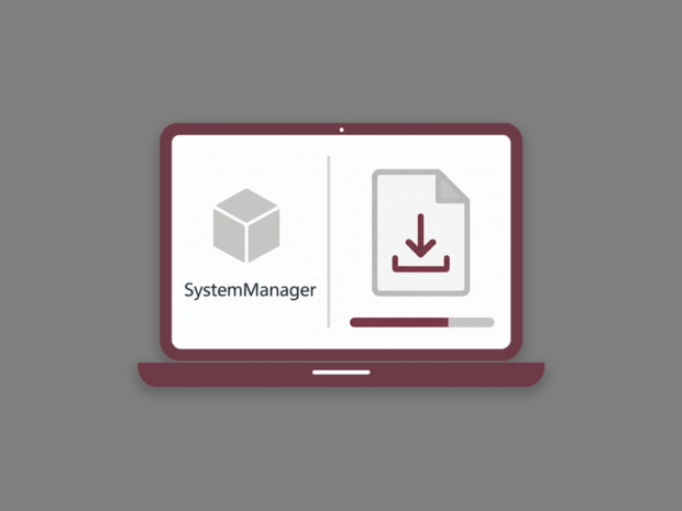 SystemManager